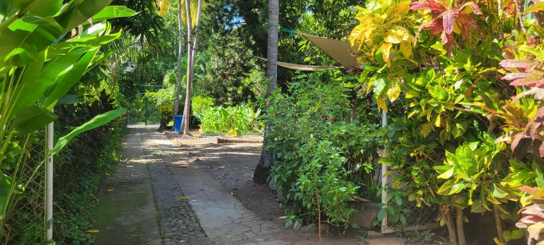 Hostal Tia Reyna El Zonte Bagian luar foto