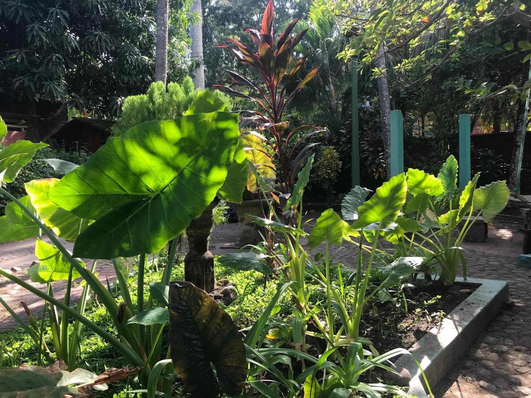 Hostal Tia Reyna El Zonte Bagian luar foto